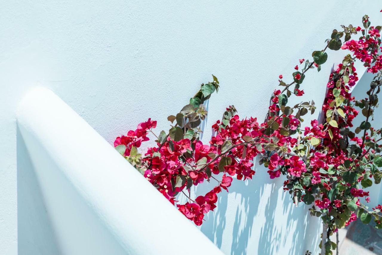 Bohemian Luxury Boutique Hotel, Adults Only Nausa Zewnętrze zdjęcie